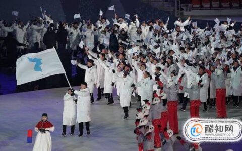 如何看待朝韩共举同一旗帜参加冬奥会