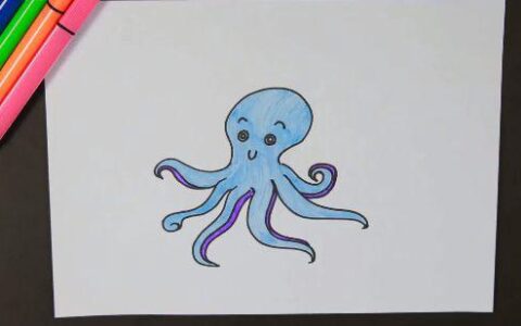 章鱼简笔画（章鱼怎么画）