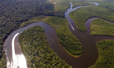 世界流域面积最大的河