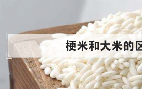 梗米和大米的区别