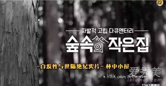 林中小屋是什么节目 韩国综艺林中小屋更新时间