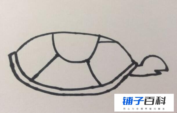 海龟简笔画怎么画