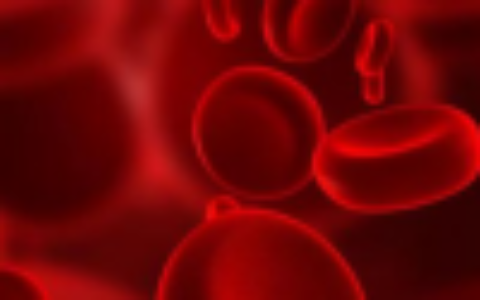 b型血为什么叫贵族血 b型血为什么不建议献血