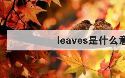 leaves是什么意思