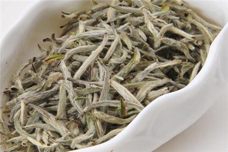 白茶属于什么茶 白茶的功效与作用