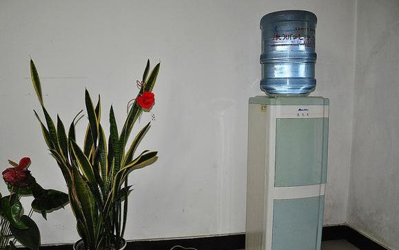 饮水机和电水壶哪个好? 饮水机与电水壶挑选技巧