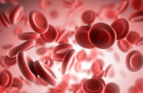 ab型血为什么叫贵族血 哪个血型具备更聪明的基因