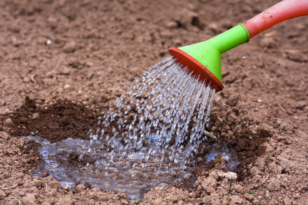土壤酸碱度简易测试法，掌握5种简单的办法，做到心中有数