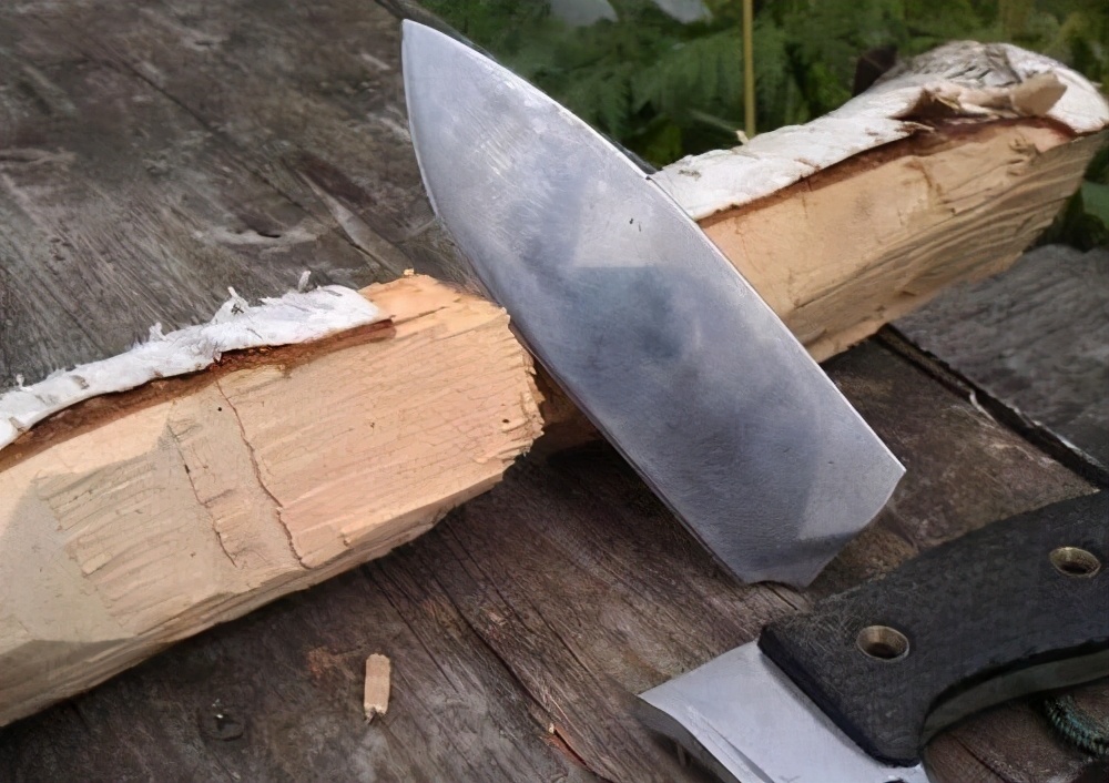世界上最硬的木材——铁桦木，称之为木王，比普通钢铁还要硬一倍