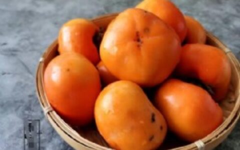 软柿子和硬柿子的区别是什么 软柿子和硬柿子有什么区别