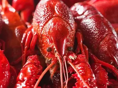小龙虾吃多了有哪些危害 一次最多吃一斤