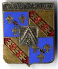 法国军队各类标识：装甲部队（3）