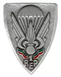 法国军队各类标识：外籍军团（1）