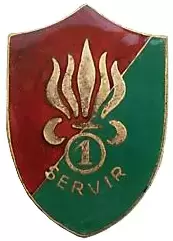 法国军队各类标识：外籍军团（2）
