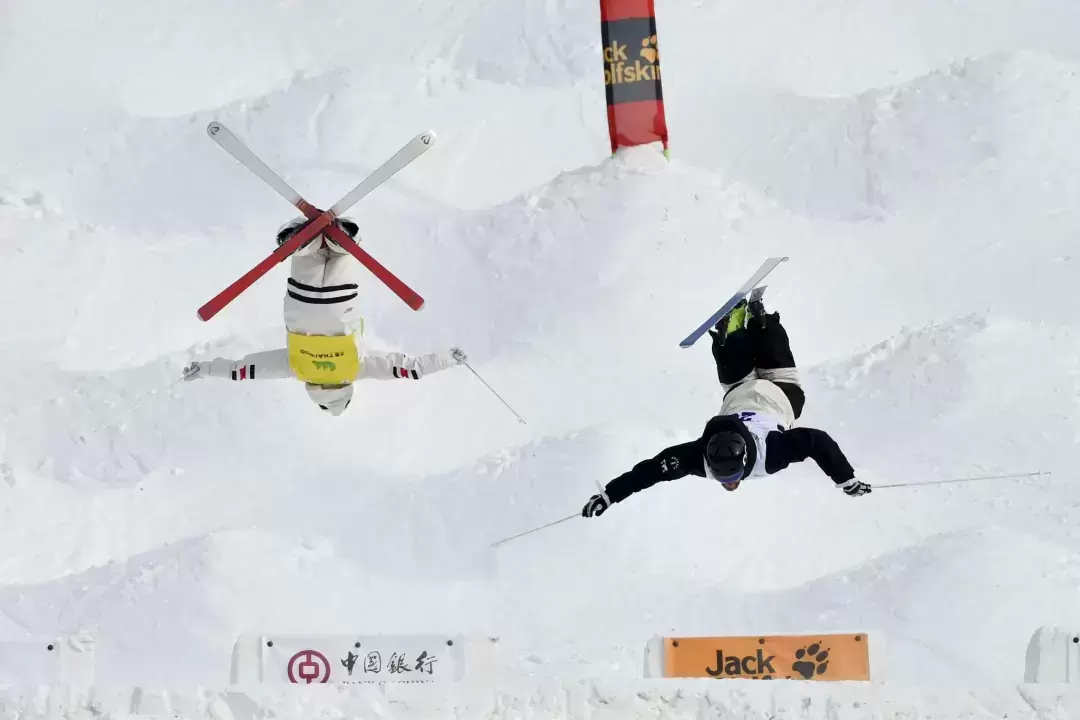 懂冬奥.06丨一文看懂“空中舞蹈”自由式滑雪