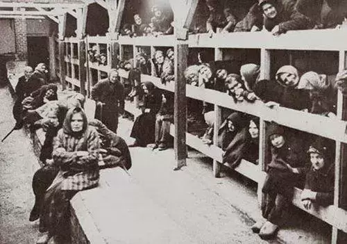 屠杀、焚尸！让110万人丧命的奥斯维辛集中营，有多恐怖？