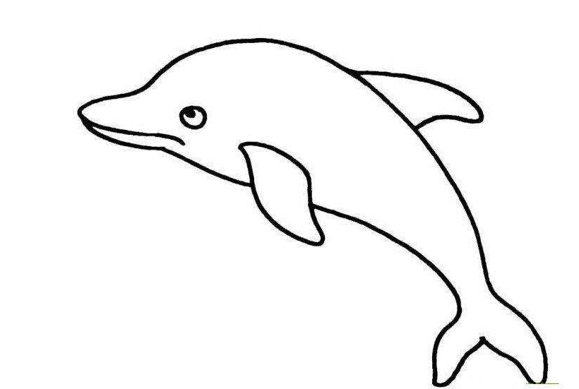 qq画图红包海豚怎么画？QQ红包海豚画法分享