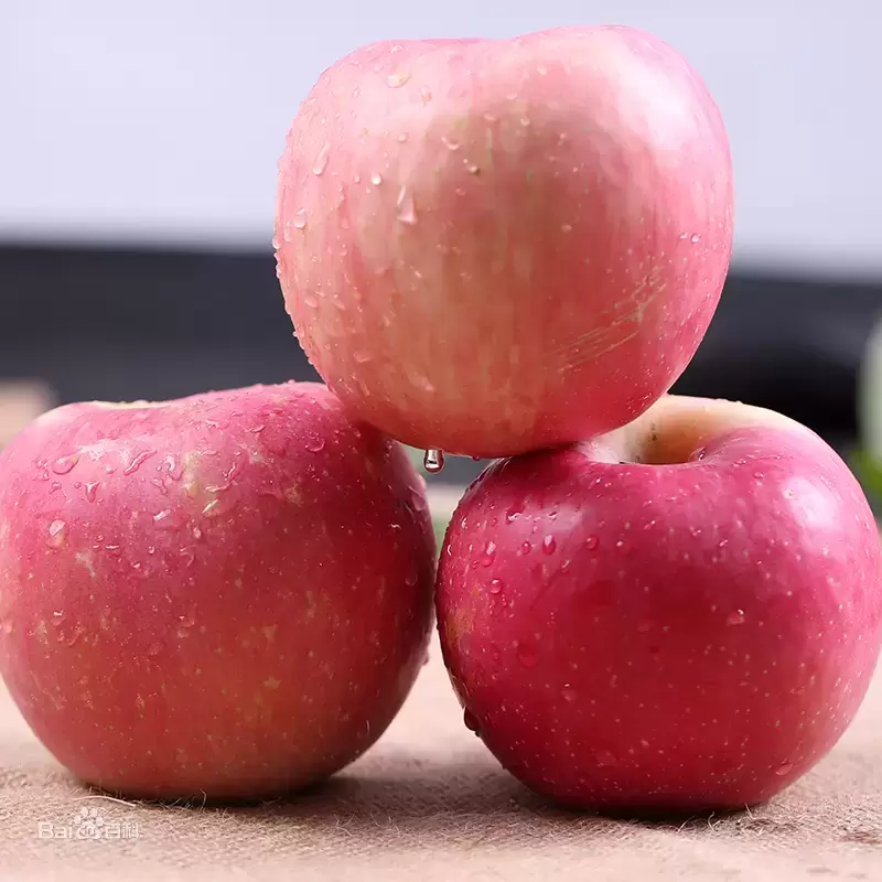 盘点中国各地盛产的苹果，你认识几个？