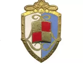 法国军队各类标识：装甲部队（2）