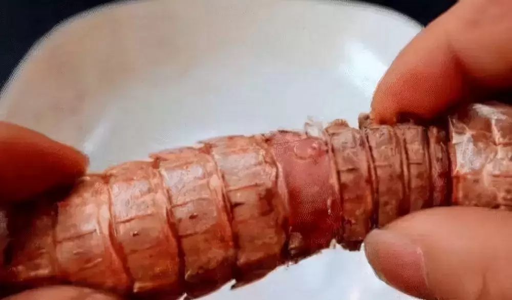 怎样剥皮皮虾？找准皮皮虾的“拉链”，5秒一只，剥起来相当快