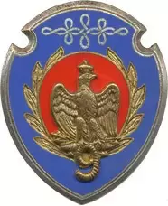 法国军队各类标识：装甲部队（2）