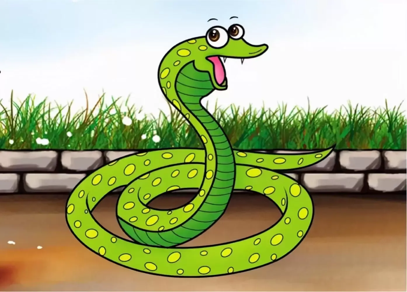 菜花蛇无毒，为什么被称为“百蛇之王”，为什么毒蛇会怕菜花蛇？