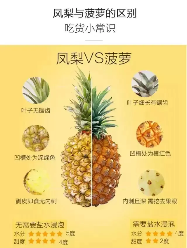 菠萝和凤梨有什么区别哪个好吃