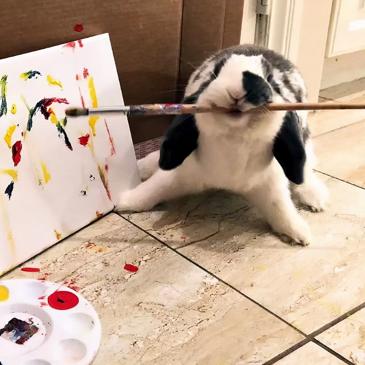 这只兔子一分钟扣篮七次，自己画画在网上卖，粉丝一百多万
