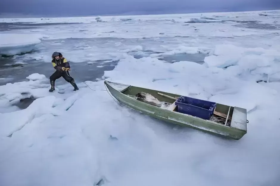 直击生活在北极附近的纽特人，捕猎北极动物为生