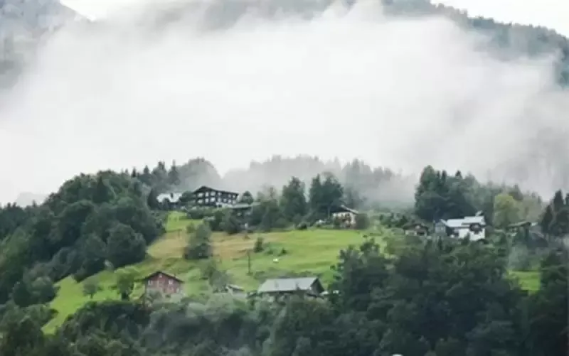 天堂般的瑞士农村，是的，这真是农村！
