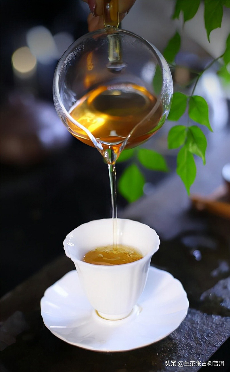 普洱茶十大高端品牌（中国最好的普洱茶品牌排名榜）