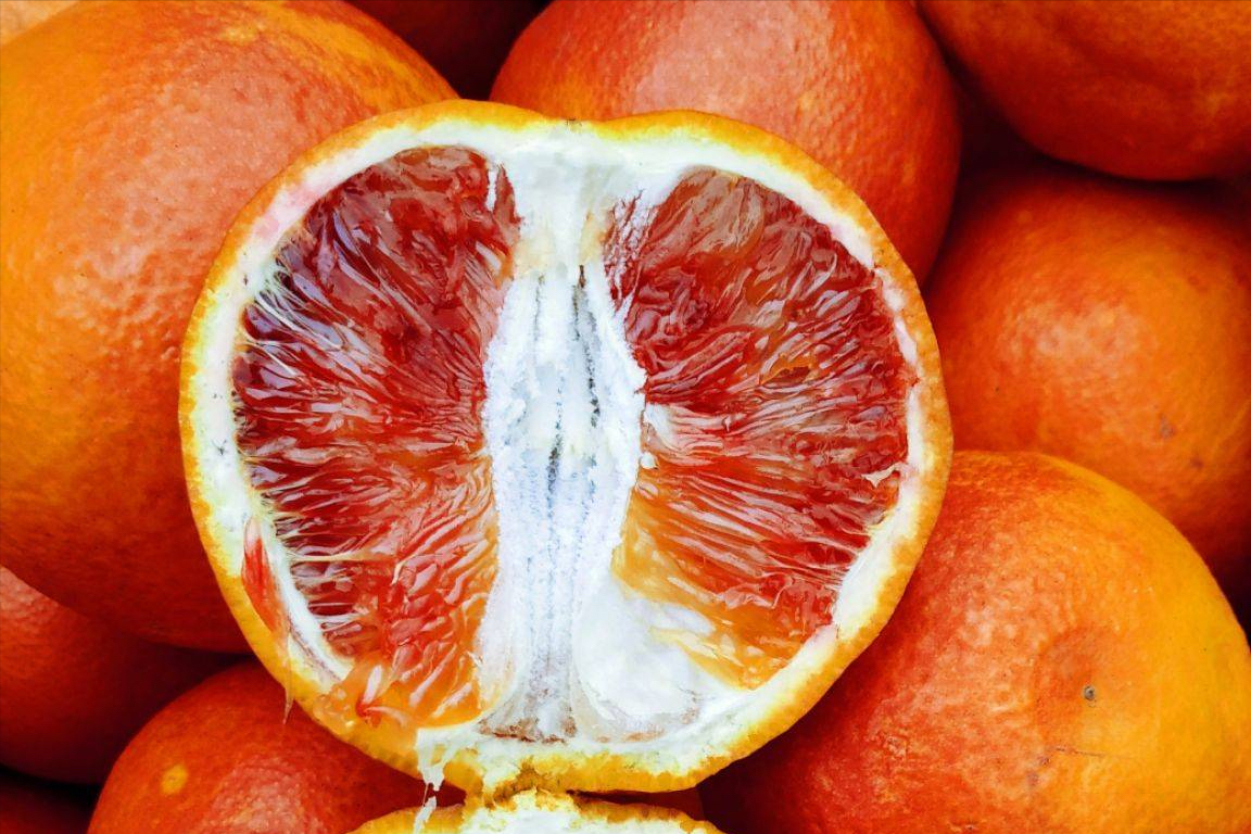 图片[8]-中国十大名橙排名(全国哪的橙子最好吃)-欣欣百科网