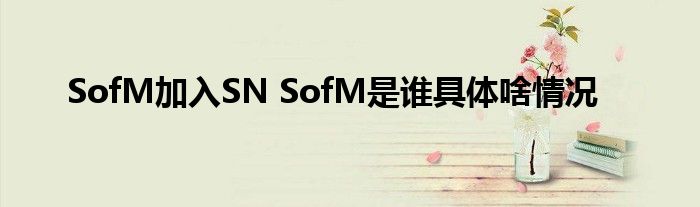 SofM加入SN SofM是谁具体啥情况