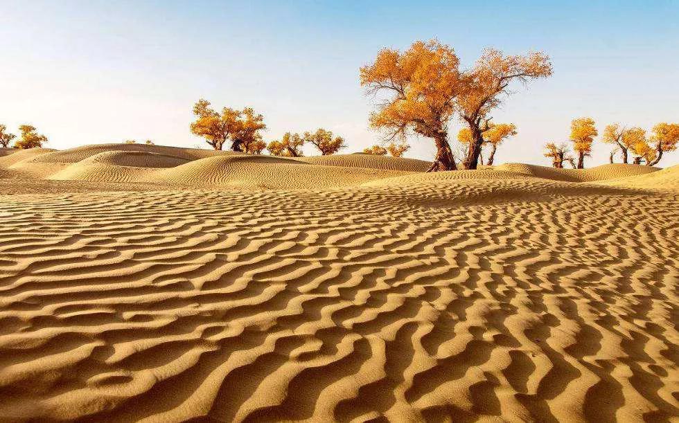 图片[4]-中国7大沙漠排名(中国最美的七大沙漠)-欣欣百科网