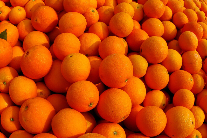 图片[5]-中国十大名橙排名(全国哪的橙子最好吃)-欣欣百科网