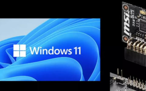 Windows11无需针对特殊用途系统的TPM要求即可发货