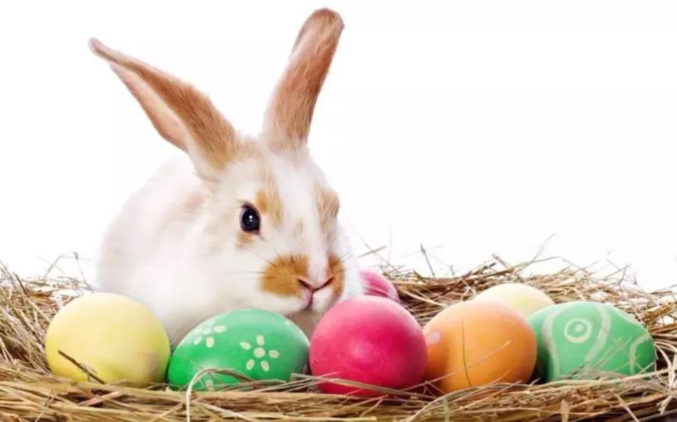 图片[1]-复活节的日期(复活节Easter  Day的由来)-欣欣百科网