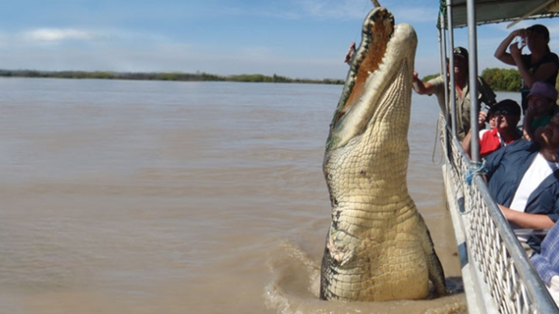 图片[12]-世界上最大鳄鱼排行榜(世界上最强大的10种鳄鱼)-欣欣百科网