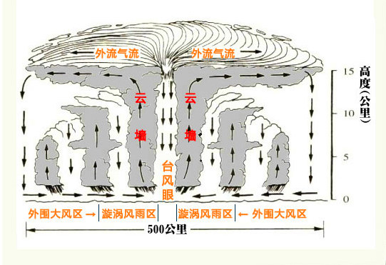 图片[1]-为什么夏天有台风(台风形成的原因是什么)-欣欣百科网