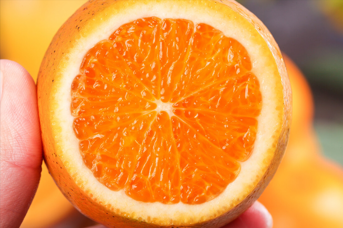 图片[7]-中国十大名橙排名(全国哪的橙子最好吃)-欣欣百科网