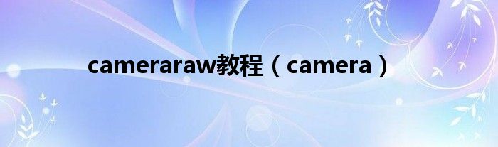 cameraraw教程（camera）