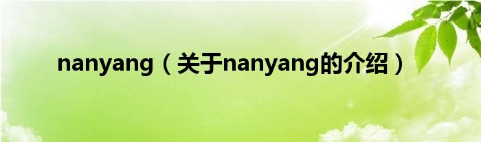 nanyang（关于nanyang的介绍）