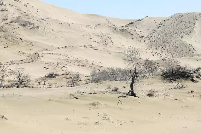 图片[6]-中国7大沙漠排名(中国最美的七大沙漠)-欣欣百科网