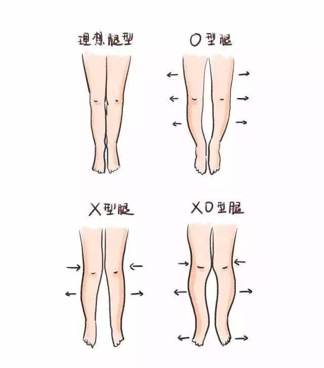腿长怎么量从哪到哪标准（正确量腿长的方式图解）
