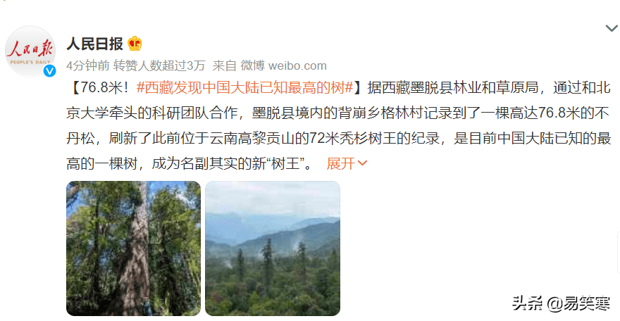 76.8米！西藏发现中国大陆已知最高的树，成名副其实的新“树王”