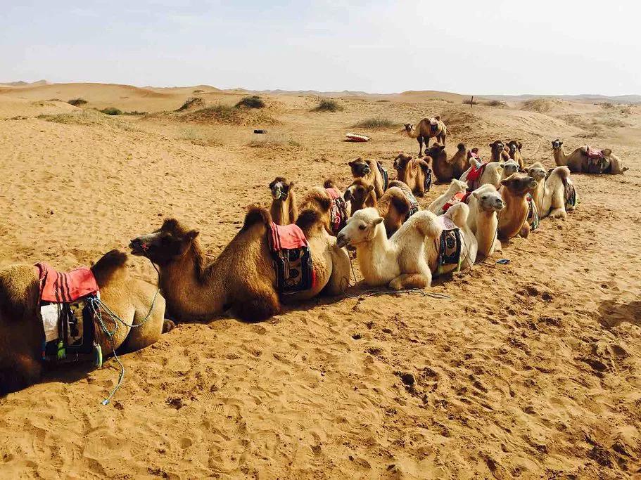 图片[11]-中国7大沙漠排名(中国最美的七大沙漠)-欣欣百科网