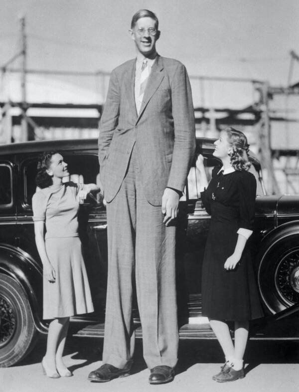 世界上最高的人有多高（目前世界第一高的人叫什么名字）