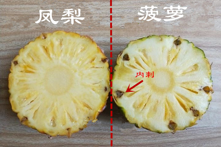 凤梨与菠萝的区别在哪（凤梨和菠萝是不是同一种水果）