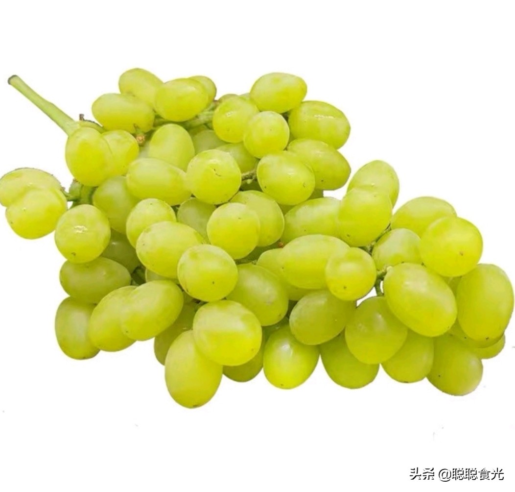 图片[4]-葡萄品种排名前十(10个常见的葡萄品种)-欣欣百科网