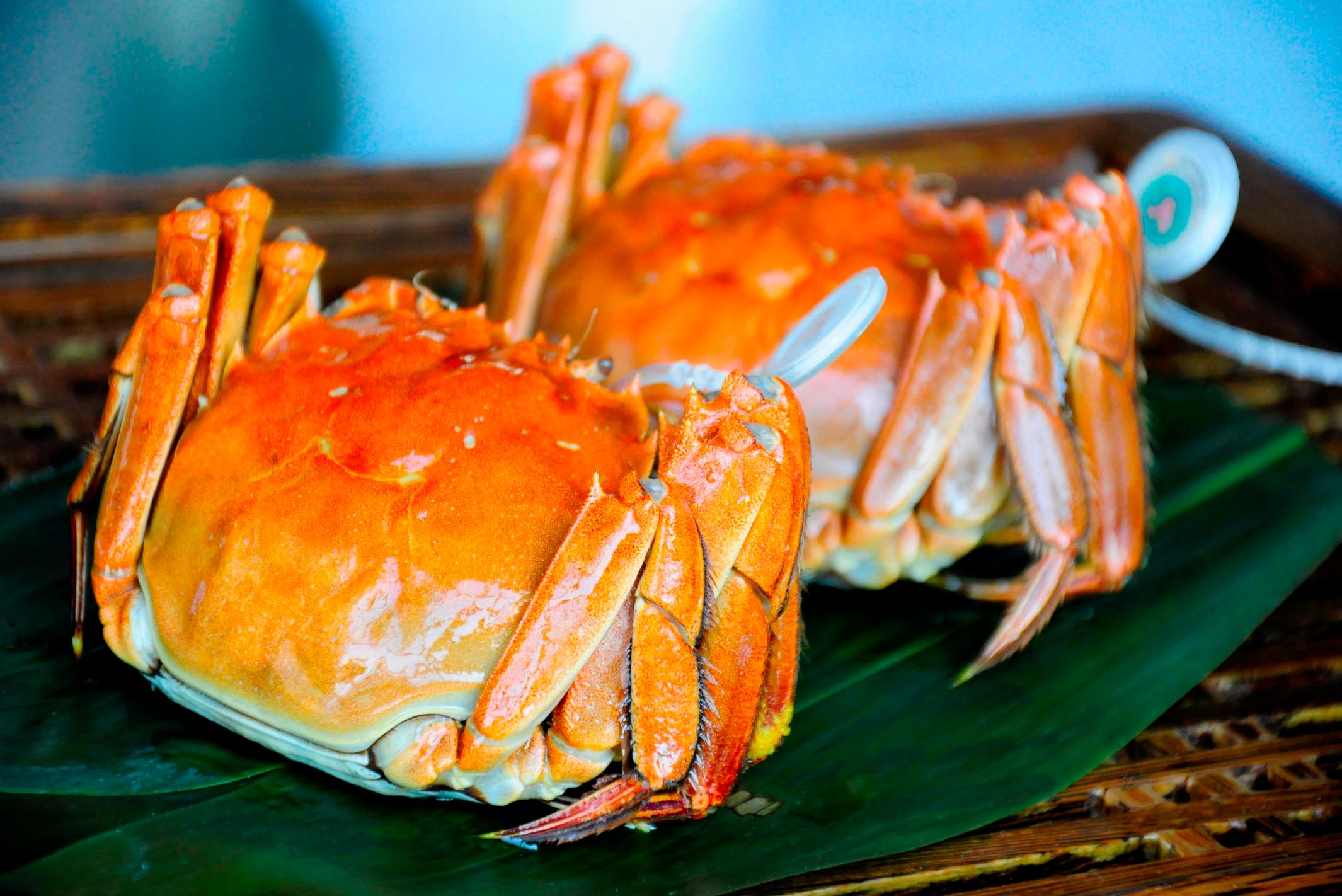 吃螃蟹的禁忌是什么
